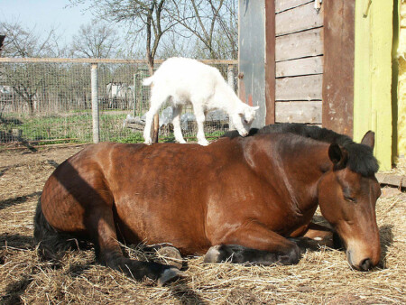 Перед тренировкой