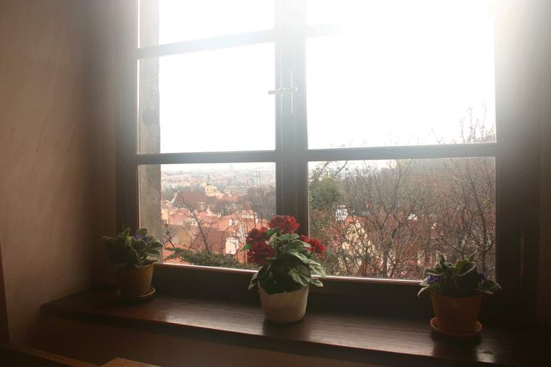 Сонное утро