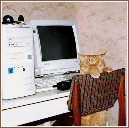 -Я &amp;quot;мышку&amp;quot; не ел!