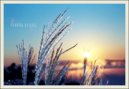 rising