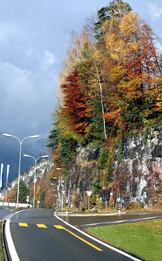 Osenj