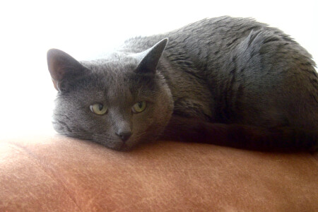 Безмятежность