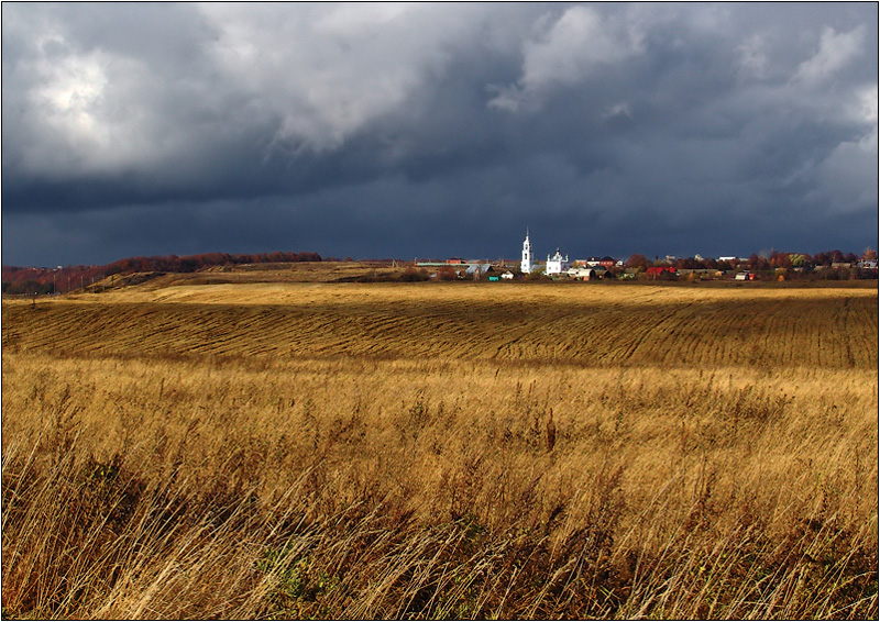 Среднерусская осенняя (2)