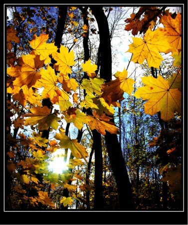 танцующие с солнцем