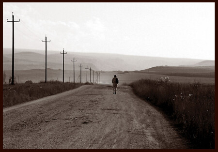 Дорога, дорога, ты знаешь так много...