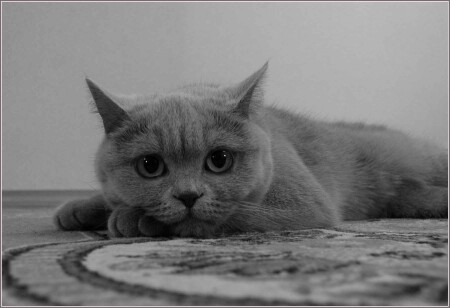 интересно?...