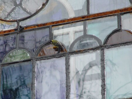 Пришла зима