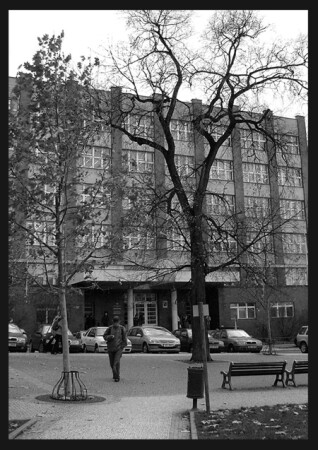 любовь,она всюду... 