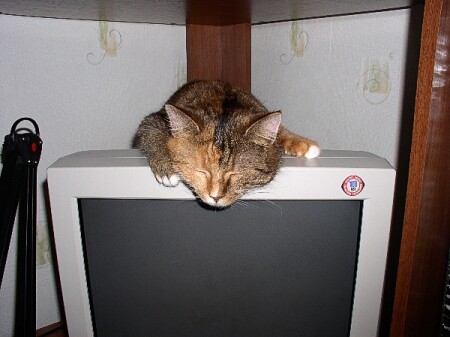 жду ответа по e-mail