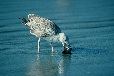 Утренняя Зарядка