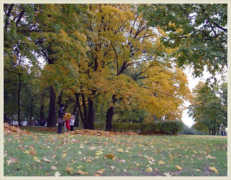 В парке.