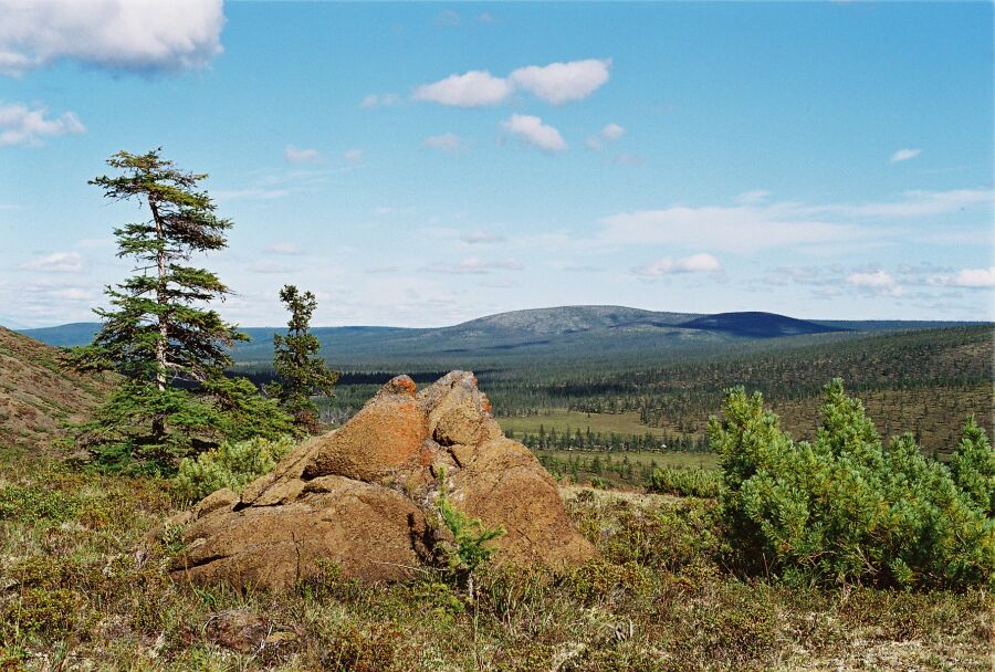 #3 В каком-то уголке Земли.