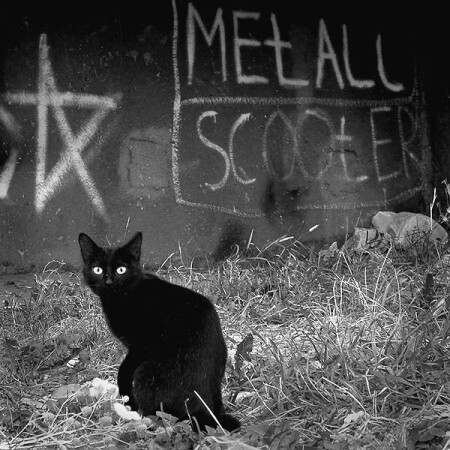 MEtALL