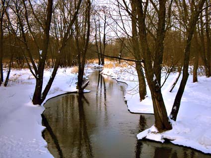 Речка в парке