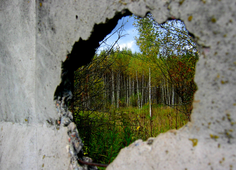 Окно в...