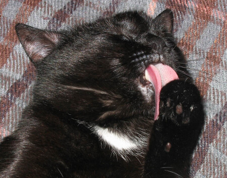 Чистота-залог успеха!