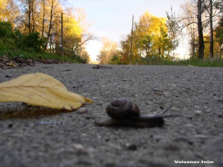 успеть бы до зимы.....