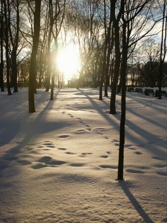 Зима в Коломенском