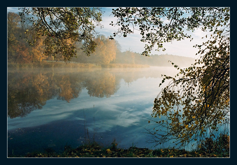 Осеннее утро 3