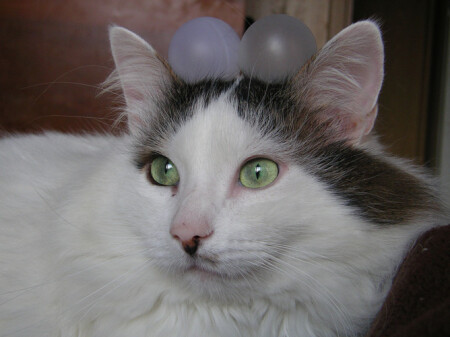 Почти жонглер…