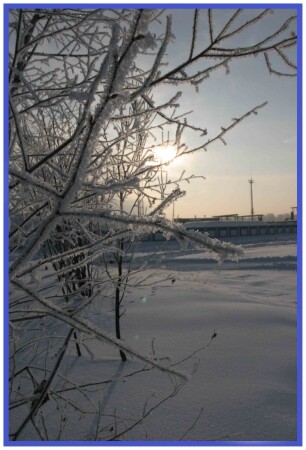 МОРОЗНЫЙ ДЕНЬ СЕГОДНЯ 30 11 04