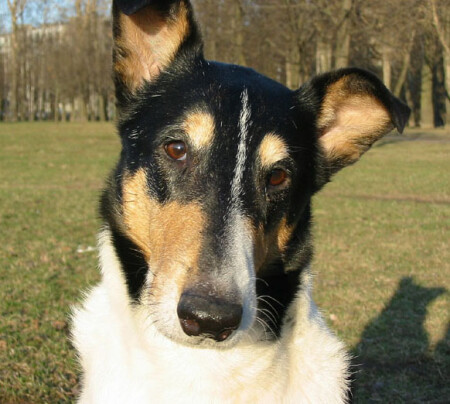 А ты знаешь..? Я тебя люблю!