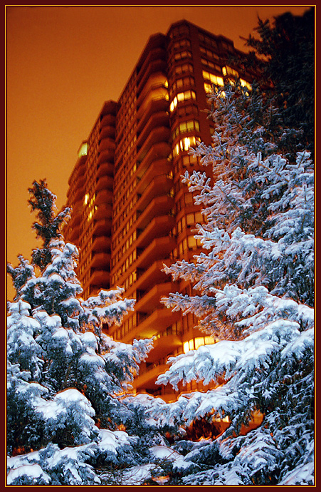 North York (3)