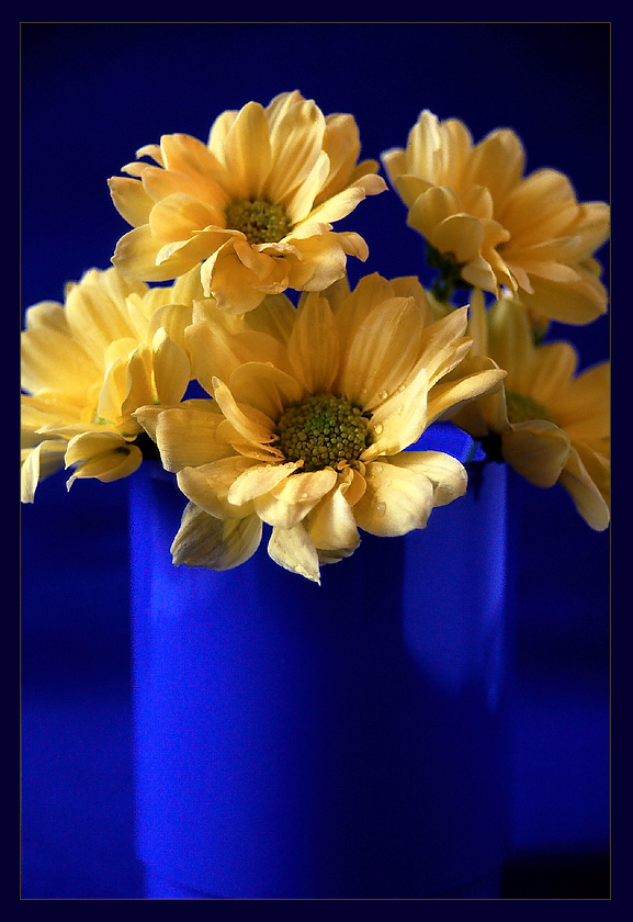 Still Life #07