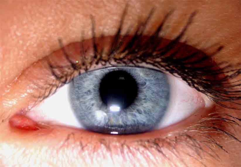 Look at ...