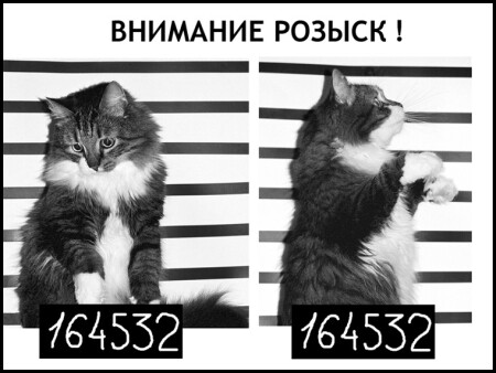 Всем! Всем! Всем!