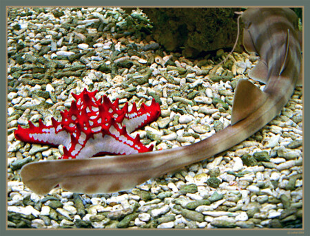 в ином измерении