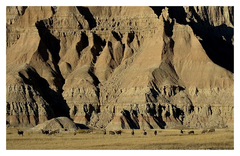 The Wall