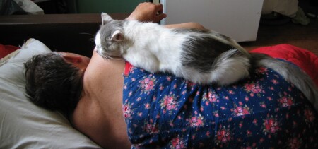 прилег отдохнуть