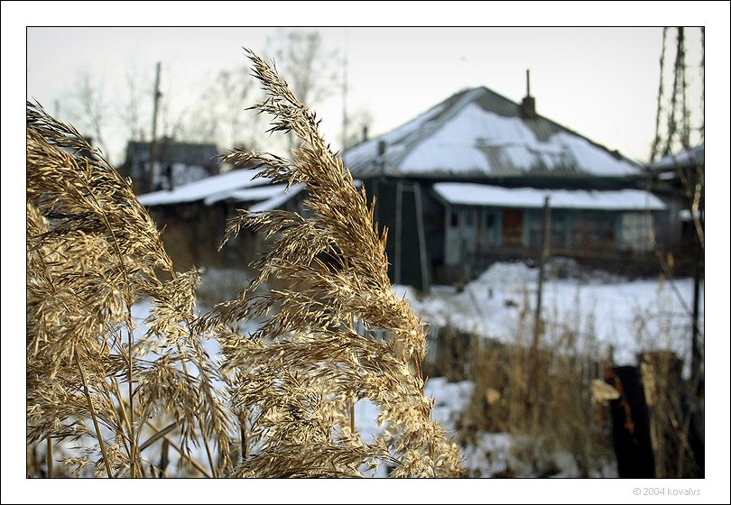 Трава у дома