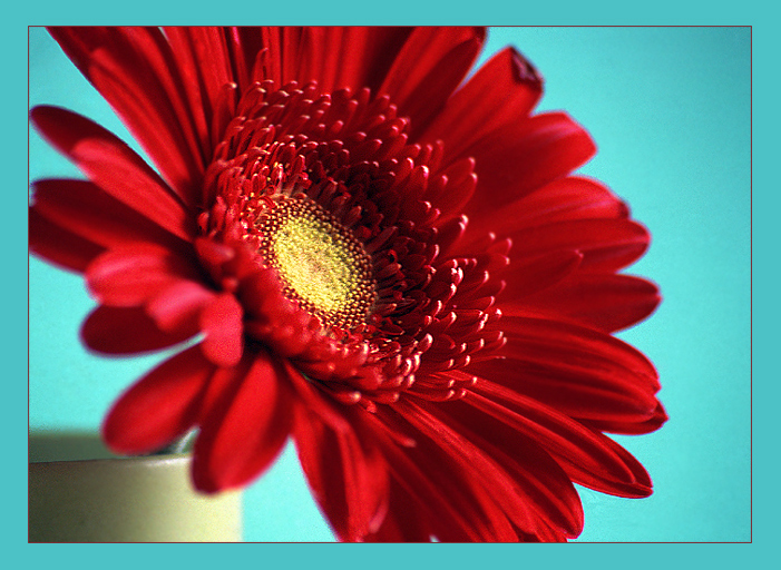 Still Life #06