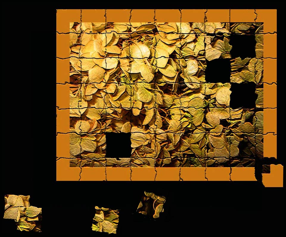 Puzzle_Flowers_