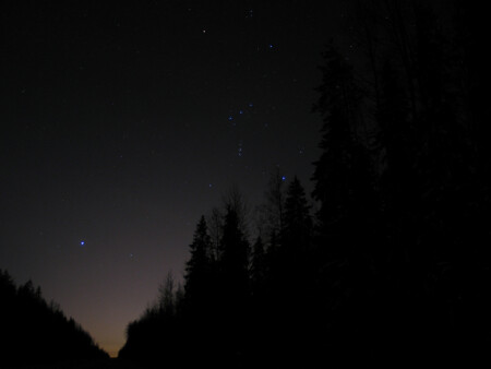 Звёздное небо зимней ночью