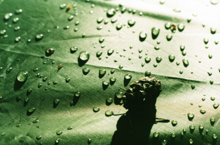 Наша палатка не промокает!