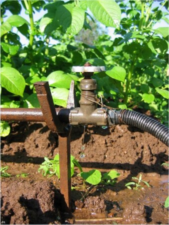 садовый труженик