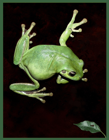 Ланч