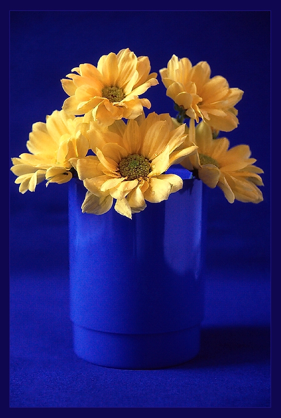 Still Life #14