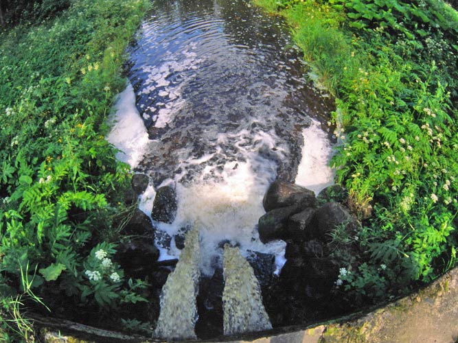 Водяной , водяной приходи играть со мной