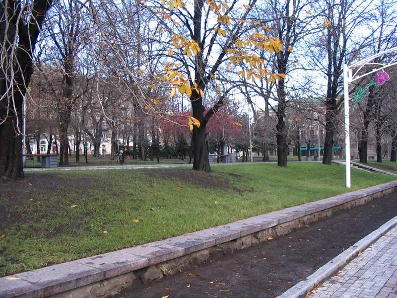 Последняя листва