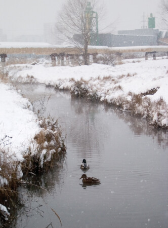 зима в городе