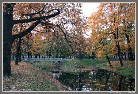 Маленький фрагмент осени.