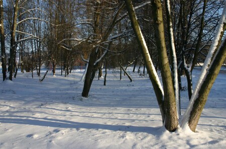 Первый снег