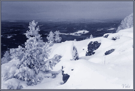 Снежные дали.