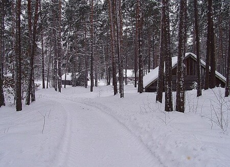 по леснои тропе