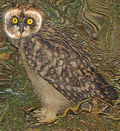 ожившая картинка