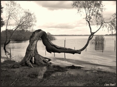 .притяжение.